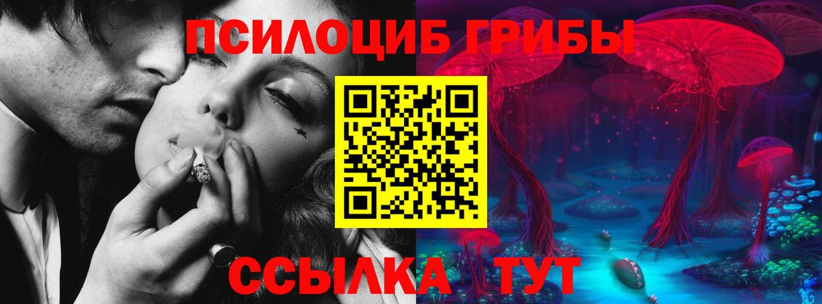 Брянск  Галлюциногенные грибы Cubensis  Вход с VPN 